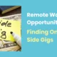 Remote Work Opportunities